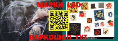 шишки Бийск