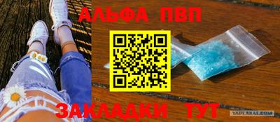шишки Бийск
